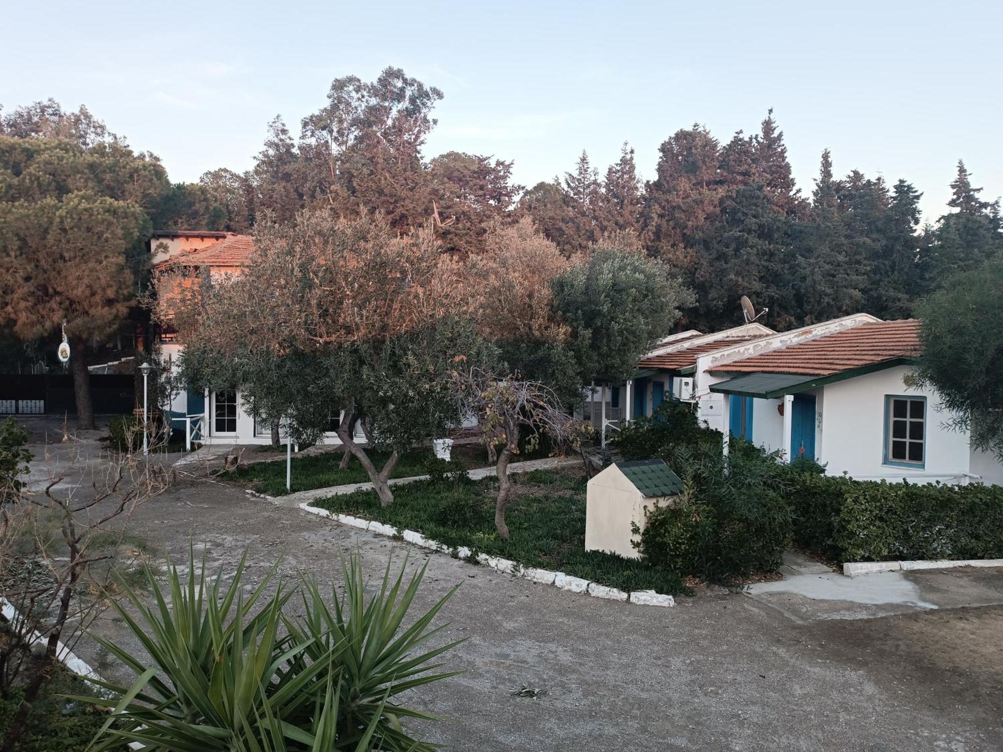 Teos Ormanci Tatil Koyu Hotel Seferihisar Exterior photo